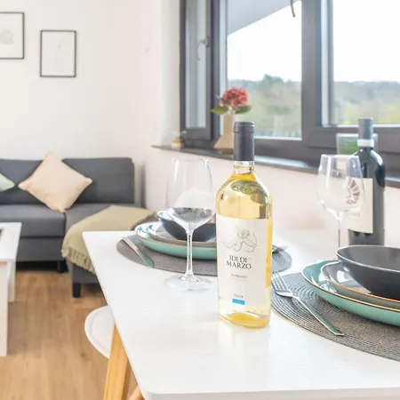 Appartement Modernes Studio-apartment Mit Balkon Und Privatem Stellplatz Fuer Bis Zu 4 Personen Nur Wenige Minuten Von Der Innenstadt & Mosel Entfernt Coblence